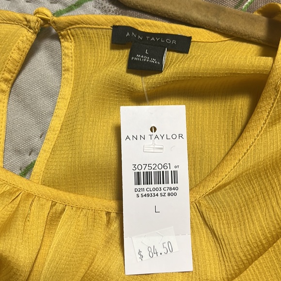 NWT Ann Taylor Ruffle Blouse with Cinched Hem - Picture 8 of 8